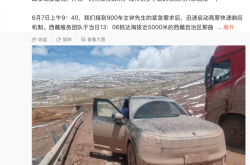 高管回应领克900西藏“趴窝”事件：加装防虫网引发散热不良