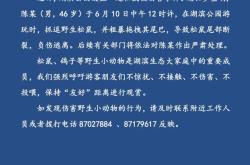 杭州通报西湖边松鼠被伤害事件：将对涉事男子作出严肃处理