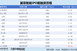 翼菲智能港股IPO：2024年售后服务费翻了3倍 最大客户收入暴跌 80后董事张子超全年领薪超900万元