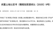 闲置4年！恒大汽车近44万平方米土地被收回