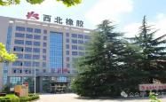 陕西轮胎巨头西北橡胶，因污染超标被罚65万