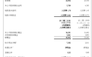 华润啤酒上半年净利润同比增23%，白酒销售收入降三成