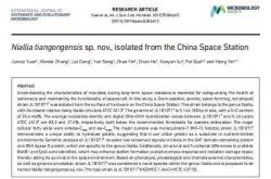 首次公布！中国空间站内发现微生物新物种