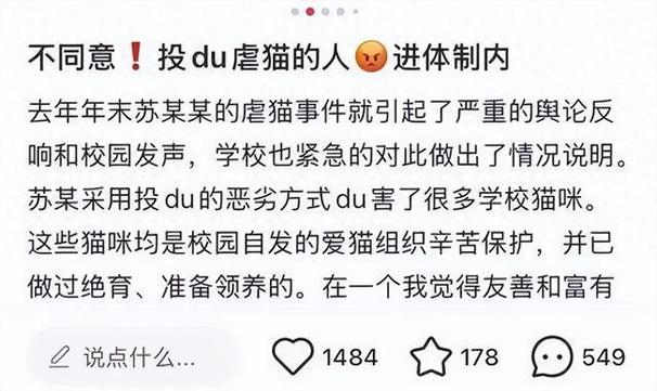桂林平乐县人社局:虐猫考生被取消 *** 资格 第1张 桂林平乐县人社局:虐猫考生被取消 *** 资格 第1张